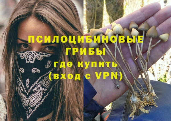 винт Козловка