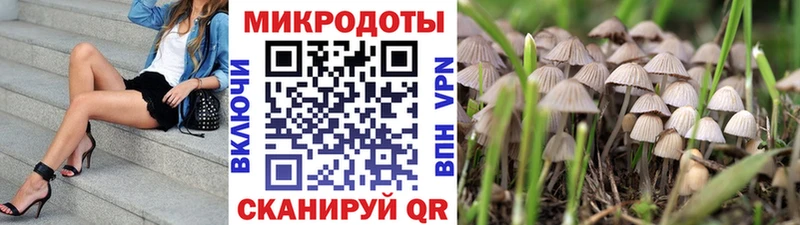МЕГА зеркало  Ковдор  Псилоцибиновые грибы Cubensis 